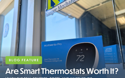 Smart Thermostats: Are They Worth It?